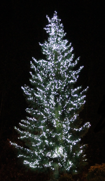Eco-friendly lighting
